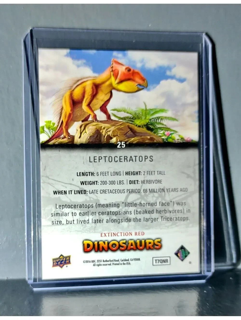 2015 Upper Deck Dinosaurs Leptoceratops Extinction Red Parallel #25 Card